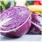 Sementes De Repolho Roxo Topseed