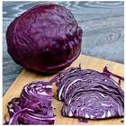 Sementes De Repolho Roxo Topseed