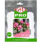 Sementes De Rosa Do Deserto Báladi (20 Sementes) Isla