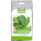Sementes De Rúcula Cultivada (50g) Isla