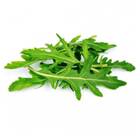 Sementes De Rúcula Diana [silvestre] Isla