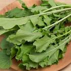 Sementes De Rúcula Folha Larga (50g) Topseed