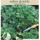 Sementes De Salsa Graúda (portuguesa) Topseed