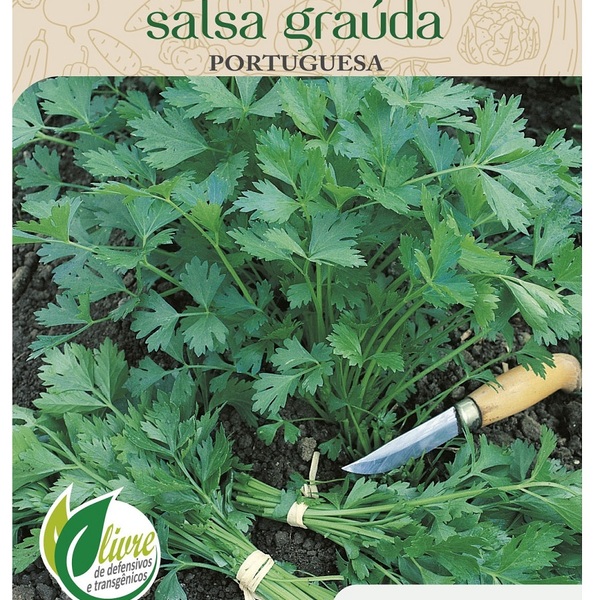 Sementes De Salsa Graúda (portuguesa) Topseed