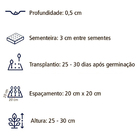 Sementes De Salvia Splendens Incendio Env. C/ 500mg