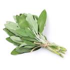 Sementes De Sálvia Topseed