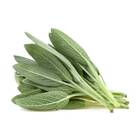 Sementes De Sálvia Topseed