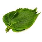 Sementes De Shissô [kobe/perila] Isla