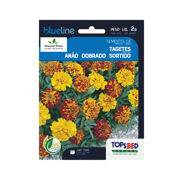 Sementes De Tagetes Anao Dobrado Sortido Env. C/ 2 Gramas