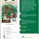 Sementes De Tomate Cereja (samambaia) Topseed