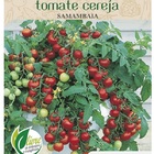 Sementes De Tomate Cereja (samambaia) Topseed