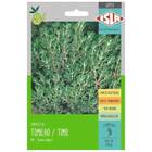 Sementes De Tomilho/timo Super Isla