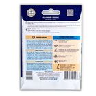 Sementes De Verbena Grandiflora Sortida Env. C/ 1 Grama