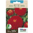 Sementes De Zinia Flor Dahlia Vermelha Topseed