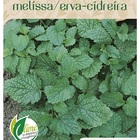 Sementes Erva Cidreira (melissa) Topseed