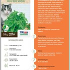 Sementes Erva Dos Gatos (nepeta Cataria) Catnip Topseed