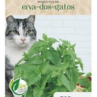 Sementes Erva Dos Gatos (nepeta Cataria) Catnip Topseed