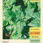 Sementes Espinafre Nova Zelândia  Isla