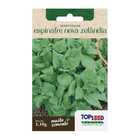 Sementes Espinafre Nova Zelândia Topseed