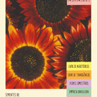 Sementes Girassol Sol Noturno  Isla