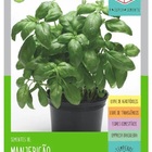 Sementes Manjericão Gemini Super (300mg) Isla