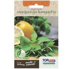 Sementes Manjericão Lemonette (basilicão) Topseed