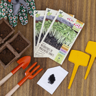 Sementes Manjericão Microverdes