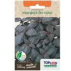 Sementes Manjericão Roxo (basilicão) Topseed