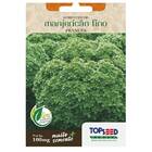 Sementes Manjericão Verde Fino Francês Topseed