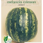 Sementes Melancia Crimson Sweet Topseed