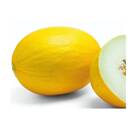 Sementes Melão Amarelo (ouro) Topseed