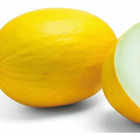 Sementes Melão Hibrido Calábria Isla