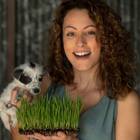 Sementes Microverdes Trigo Seival  (linha Carol Costa) Isla