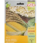 Sementes Milho-pipoca Americano  Isla
