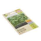 Sementes Mostarda Lisa Microverdes