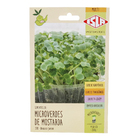 Sementes Mostarda Lisa Microverdes