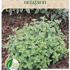 Sementes Orégano (origanum Vulgare) Topseed