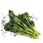 Sementes Orgânicas De Brócolis Ramoso Brasília (4g) Korin