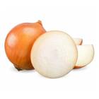 Sementes Orgânicas de Cebola Bola Precoce (0,2g) KORIN