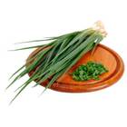 Sementes Orgânicas de Cebolinha Todo Ano (0,1g) KORIN