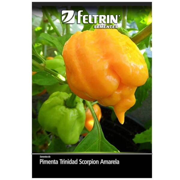 Sementes Pimenta Arara [trinidad Scorpion Amarela] Feltrin