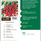 Sementes Pimenta Dedo De Moça Topseed