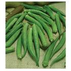 Sementes Quiabo Santa Cruz 47 (10g) Blueline Topseed