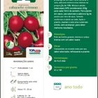 Sementes Rabanete Crimson Gigante Topseed
