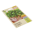 Sementes Rabanete Microverdes