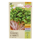 Sementes Rabanete Microverdes