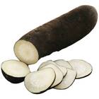 Sementes Rabanete Perseu (negro Comprido) Isla