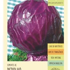 Sementes Repolho Roxo Isla