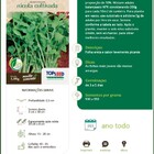 Sementes Rúcula Cultivada Topseed