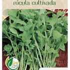 Sementes Rúcula Cultivada Topseed